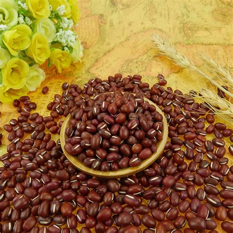 are all adzuki beans grown in china